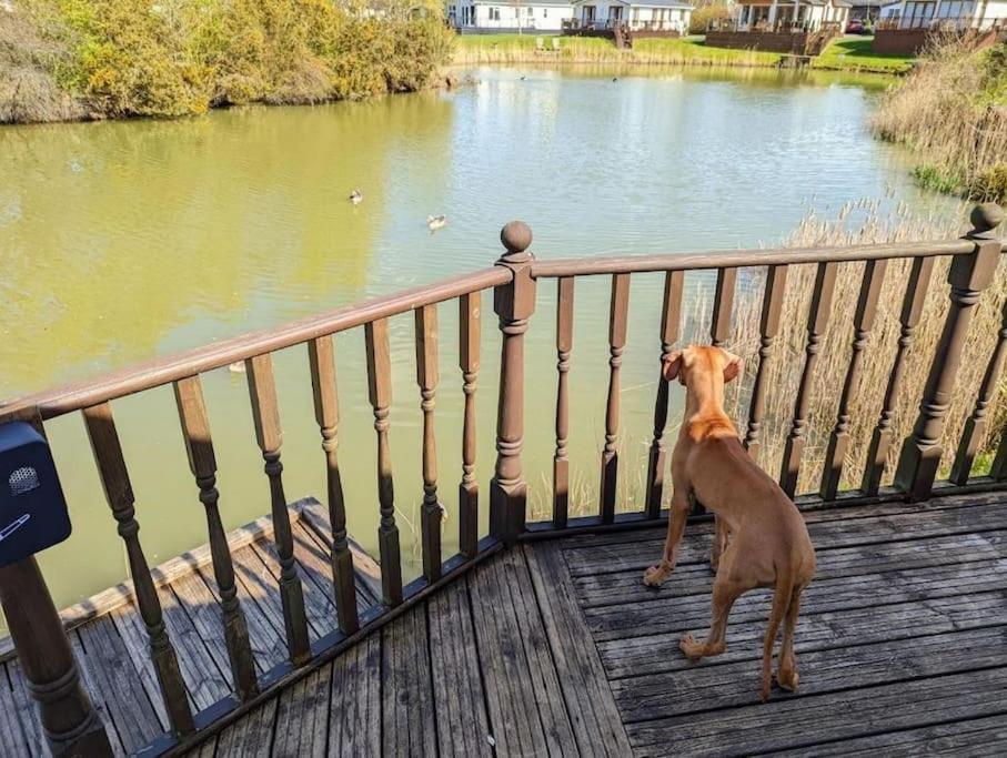 Lakeside View Wisbech Εξωτερικό φωτογραφία